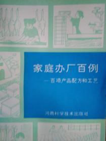 家庭辦廠百例